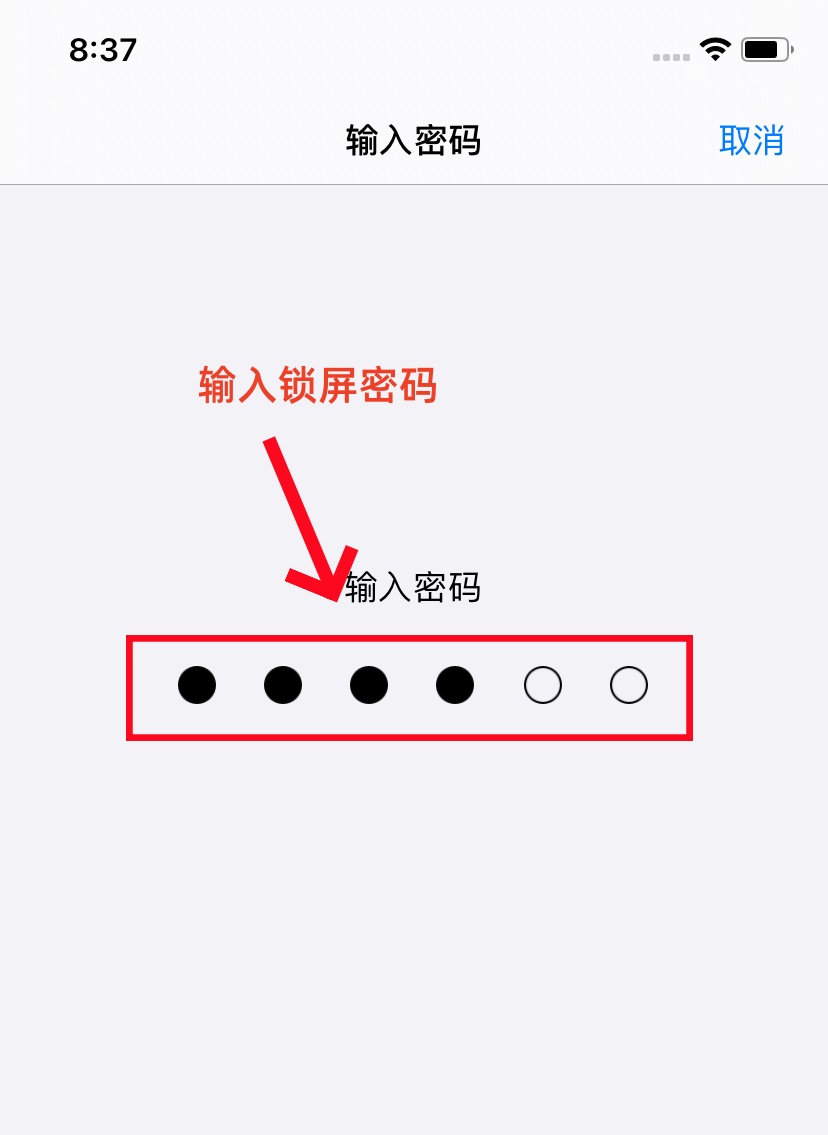 步骤10：输入密码